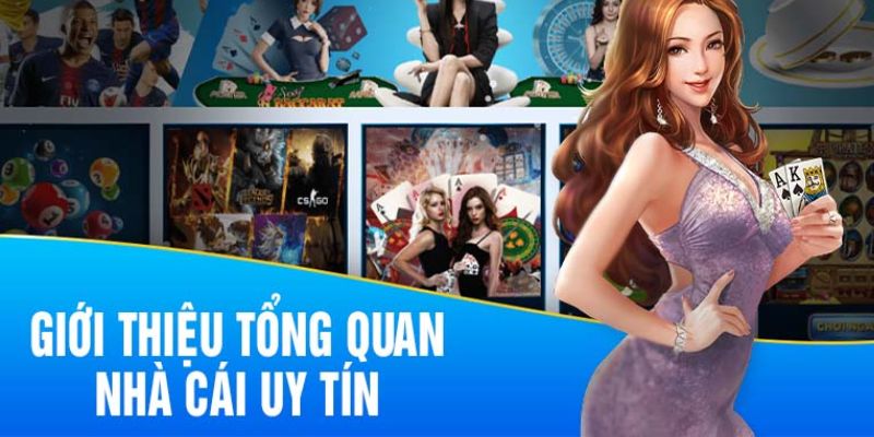 Chia sẻ thông tin về nhà cái SHBET đẳng cấp top đầu